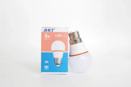 AKT LED灯泡 5瓦