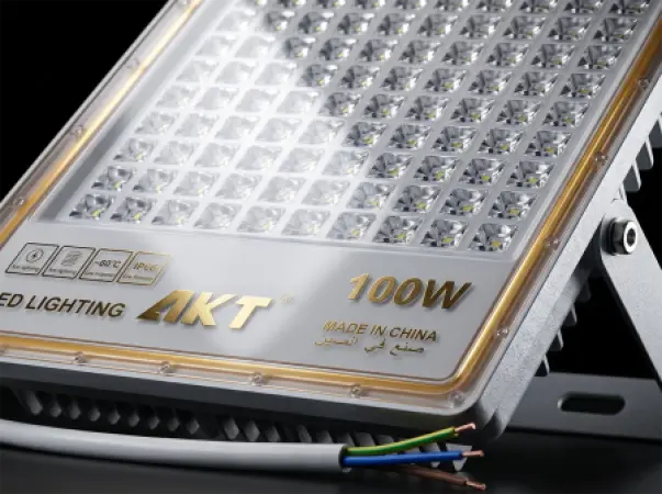 AKT LED Flood Light 100W (AKT-TGD12026-100W)