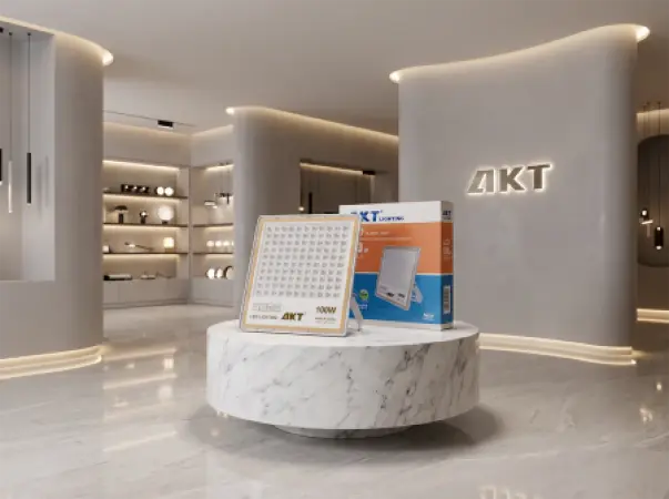 Projecteur LED AKT 100W (AKT-TGD12026-100W)