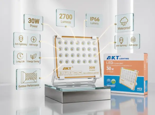 AKT LED Flood Light 30W (AKT-TGD12017-30W)