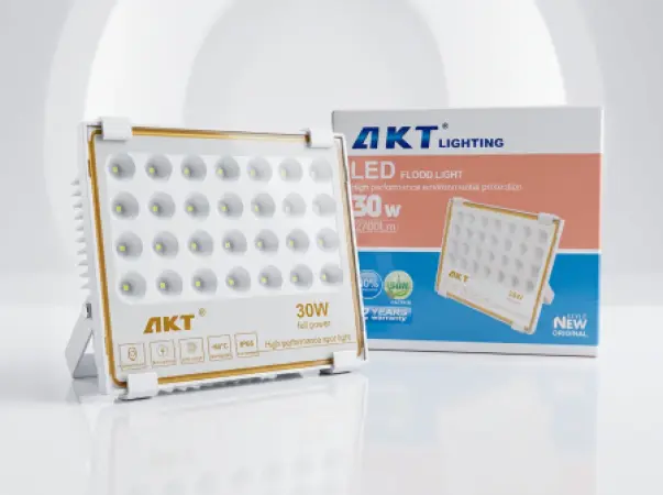 Projecteur LED AKT 30W (AKT-TGD12017-30W)