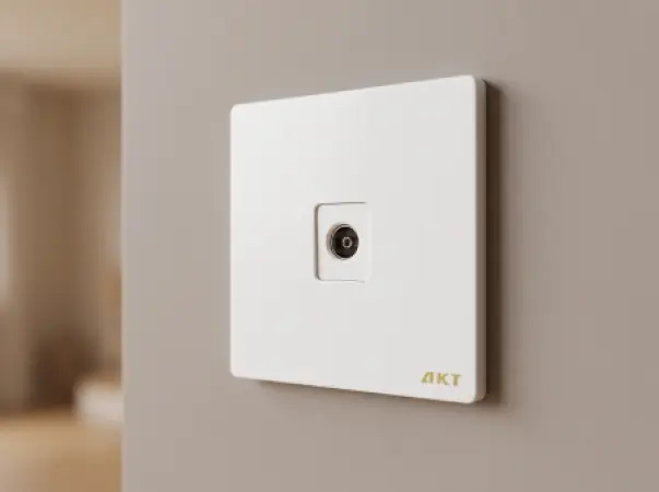 Prise TV AKT B6 Série Blanche – SQTQTD0000076